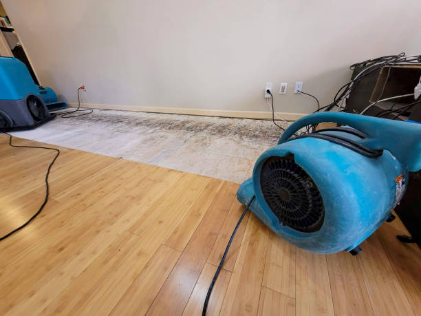 Professional Ceiling Water Damage Repair technician working in Pataskala, OH